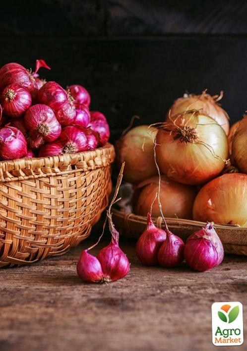 Комплект семян овощей на развес "Чудесный лук" 5уп