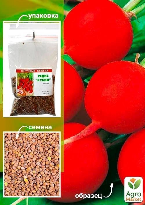 Редис "Рубін" ТМ "Весна" 100г