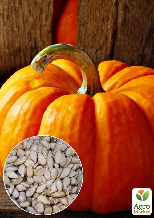 На развес Тыква "Медовый пирог" ТМ "Весна" цена за 10г