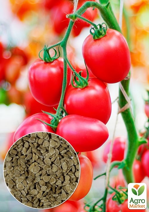 На развес Томат "Камелот" ТМ "Весна" цена за 1г