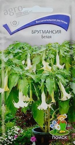 Бругмансія біла ТМ "Пошук" 5шт