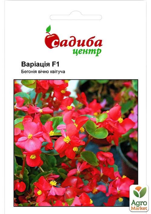 Бегонія вічноквітуча "Варіація F1" ТМ "Садиба центр" 10шт NEW