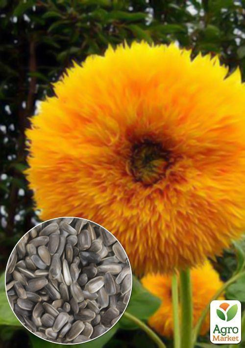 На развес Подсолнечник "Декоративный" ТМ "Весна" цена за 3г
