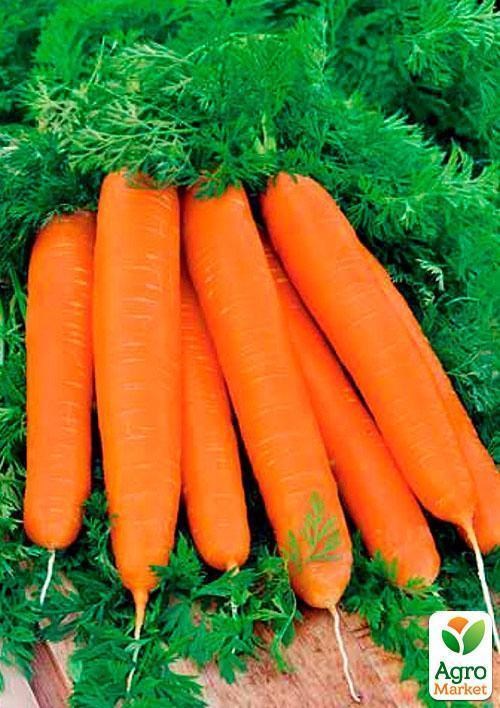 Морковь "Лосиноостровская 13" (Зипер) ТМ "Весна" 5г - фото 4