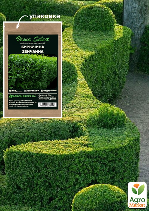 Бирючина "Обыкновенная" ТМ "Vesna Select" 10шт