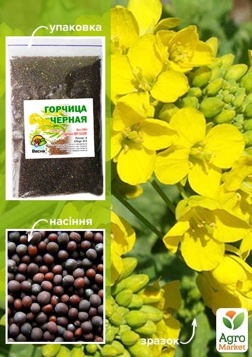 Гірчиця чорна ТМ "Весна" 100гр