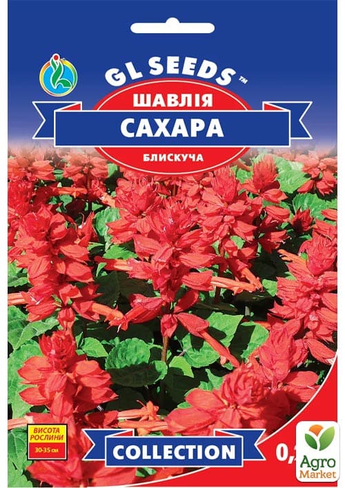 Сальвія "Сахара" ТМ "GL SEEDS" 0,2г