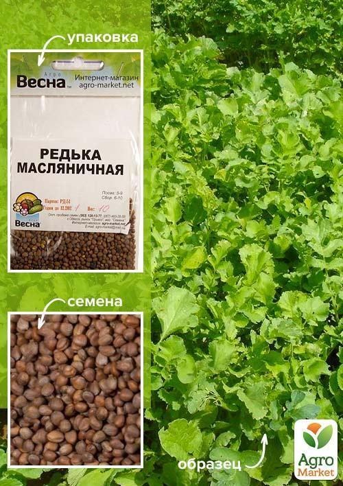 Редька "Масляничная" (Зипер) ТМ "Весна" 10г