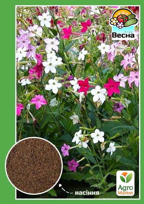 Насіння Тютюн запашний суміш ТМ "Весна" 0.2г
