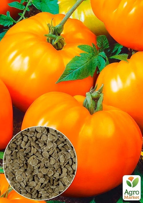 На вагу Томат "Неждана" ТМ "Весна" ціна за 1г