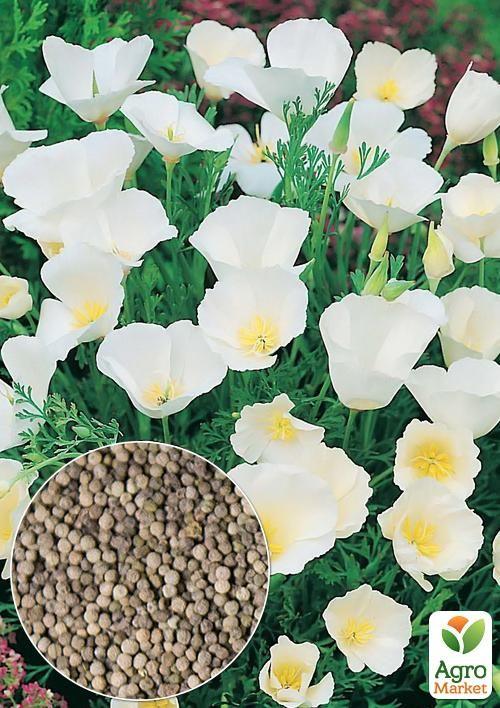 На вагу Ешшольція "Біла" ТМ "Весна" ціна за 2г