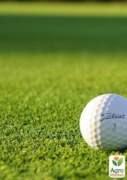 Газонная травосмесь "Гольф" ТМ "Семейный сад" 800г - фото 3