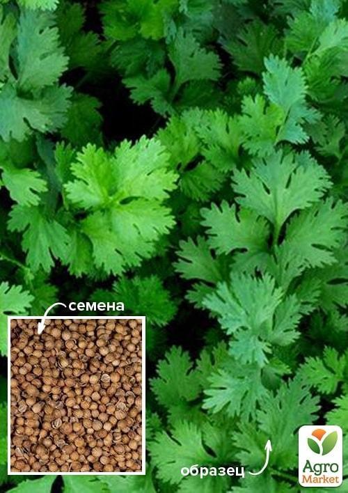 Кориандр "Тайга" ТМ "Весна" 500г