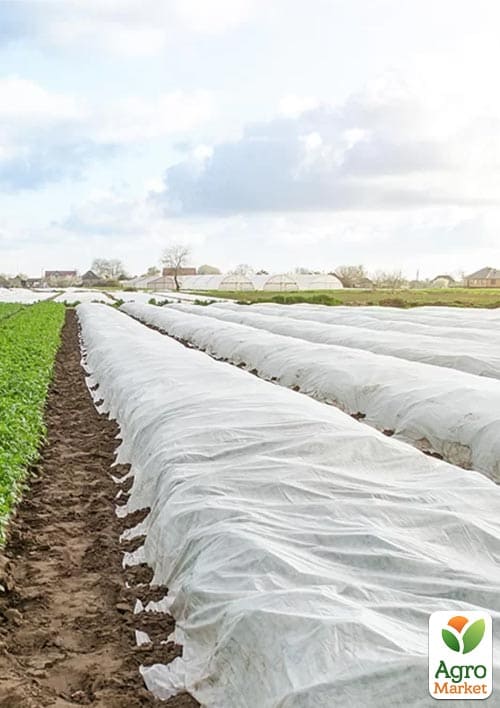Біле агроволокно покривне ТМ "Agreen" Ширина 1.6м, Довжина 10м, Щільність 19 - фото 3