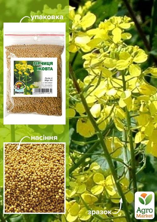 Горчица желтая ТМ "Весна" 100г