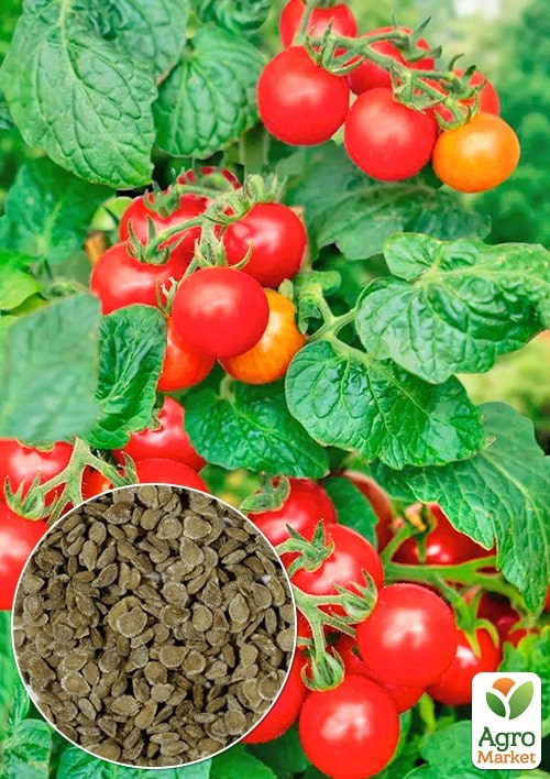 На развес Томат "Чудо гроздь" ТМ "Весна" цена за 1г