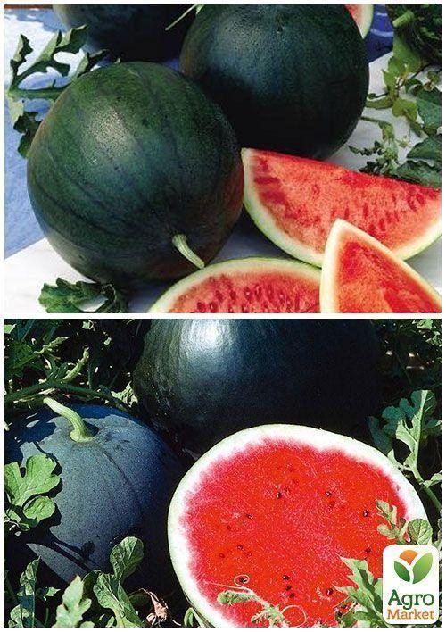 На развес Арбуз обработанный "Огонек" ТМ "Весна" цена за 5г - фото 4