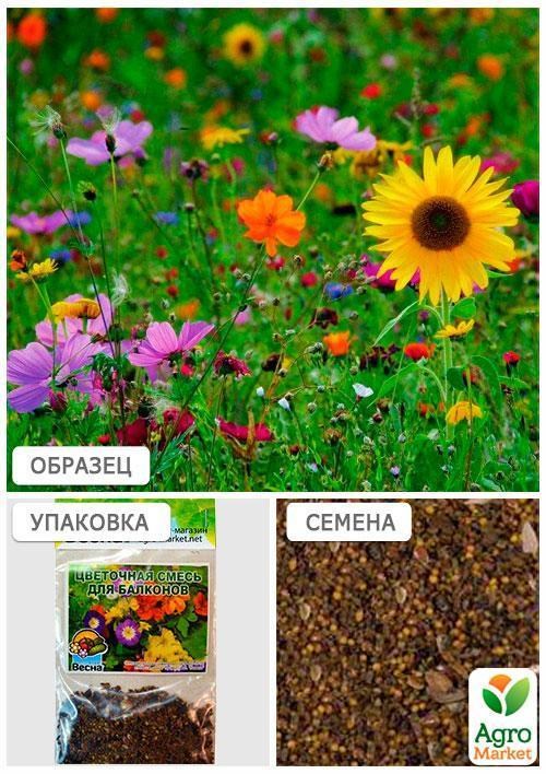 Квіткова суміш "Для балконів" (Зипер) ТМ "Весна" 4г - фото 3