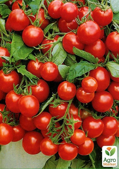 Томат "Балконное чудо" (в банке) ТМ "Весна Органик" 3г