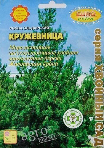 Сосна ельдарська "Мереживниця" ТМ "Аеліта" 0.5г