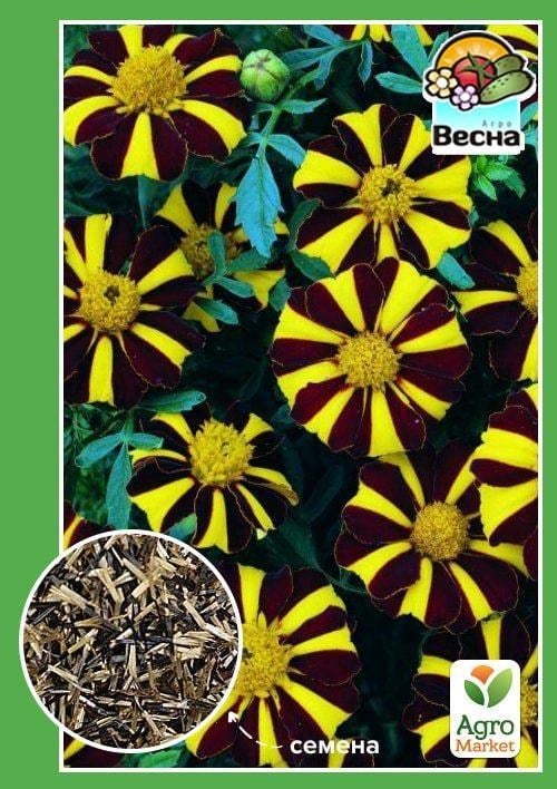 Бархатцы "Маджестик" ТМ "Весна" 0.3г