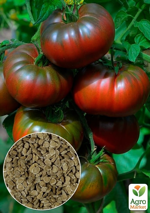 Томат "Мікадо чорний" (Зипер) ТМ "Весна" 0.5г
