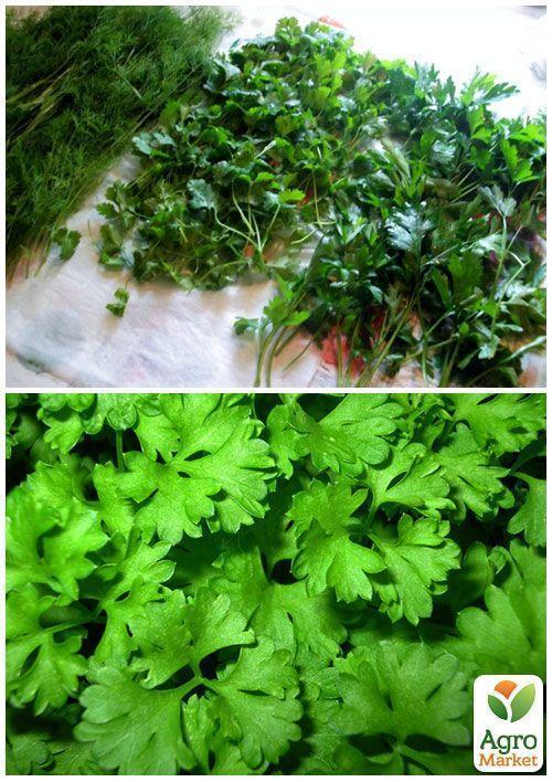 На вагу Кінза ТМ "Весна" ціна за 20г - фото 3