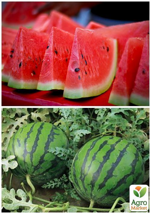 На развес Арбуз "Борчанский" ТМ "Весна" цена за 6г - фото 5
