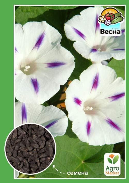 Ипомея "Милки Вей" ТМ "Весна" 0.5г