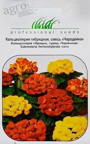 Кальцеолярия гибридная смесь "Чародейка" ТМ "HEM Zaden" 0.005г