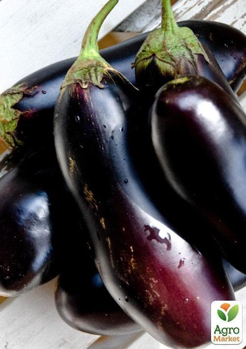 Баклажан "Премьер" ТМ "Vesna Select" 20шт - фото 4