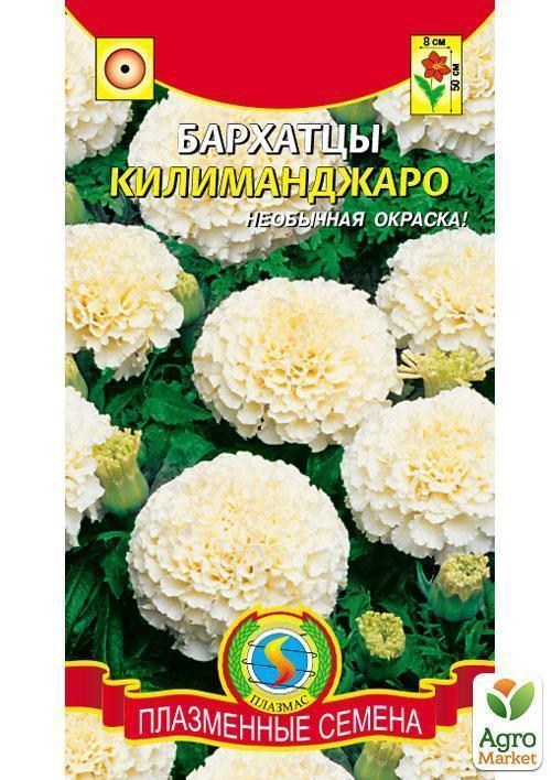 Чорнобривці "Кіліманджаро" ТМ "Плазмові насіння" 10шт
