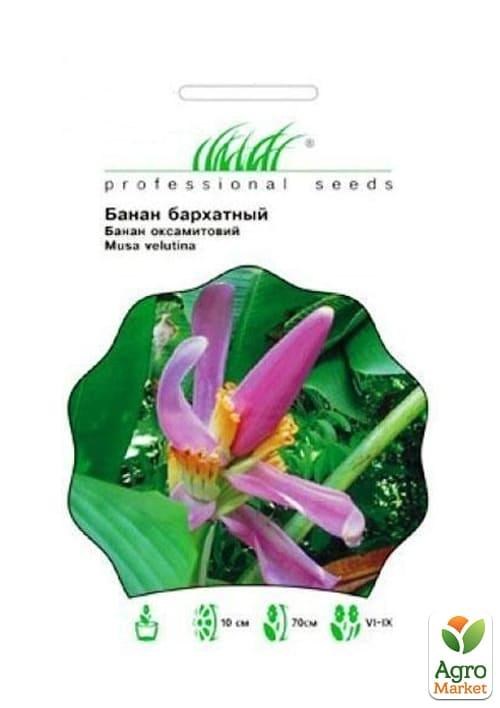 Банан декоративний "Оксамитовий" МТ "Hem Zaden"