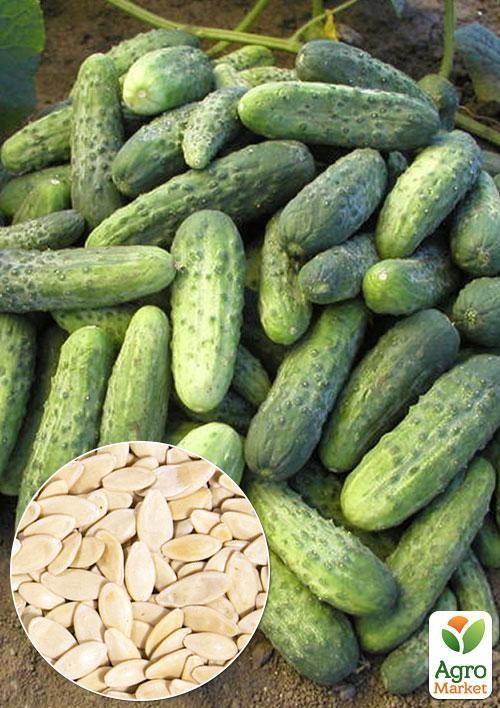 На вагу Огірок "Пальчик" ТМ "Весна" ціна за 2г