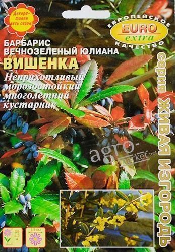 Барбарис вічнозелений юлиана "Вишенька" ТМ "Аеліта" 0.2г
