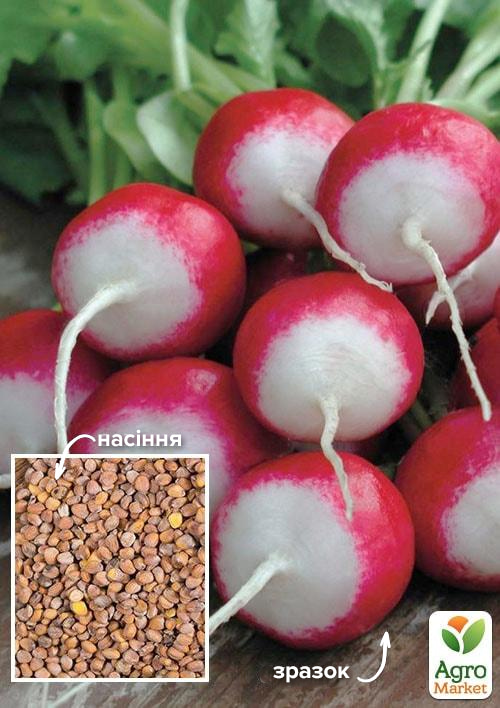 Редис "Кинг-конг" ТМ "Весна" 100г