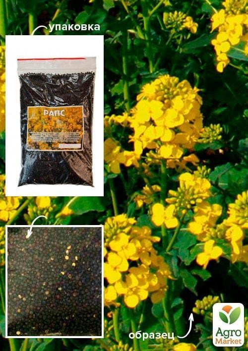 Ріпак ТМ "Весна" 100г