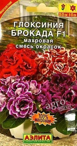 Глоксинія "брокад F1" махрова суміш забарвлень ТМ "АЕЛІТА" 5шт