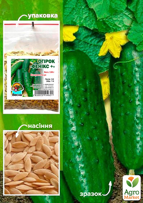 Огурец "Феникс +" ТМ "Весна" 100г