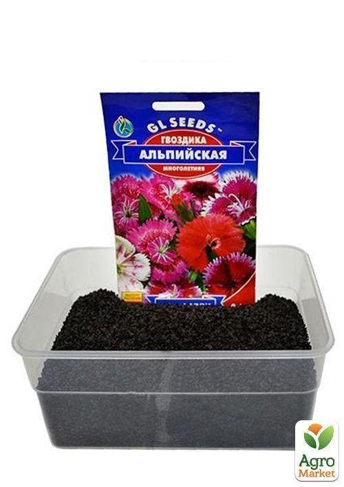 На вагу Гвоздика Альпійська суміш ТМ "Весна" ціна за 1,5г - фото 4