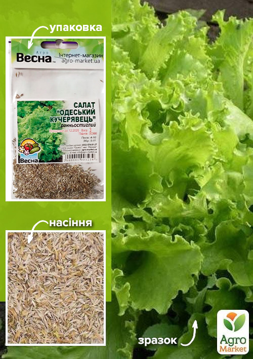 Салат "Одеський кучерявець" (Зипер) ТМ "Весна" 3г