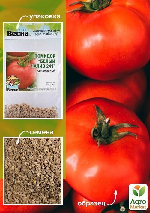 Томат "Білий налив 241" (Зипер) ТМ "Весна" 1г