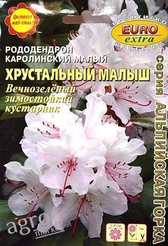Рододендрон каролинский малый "Хрустальный малыш" ТМ "Аэлита" 0.001г