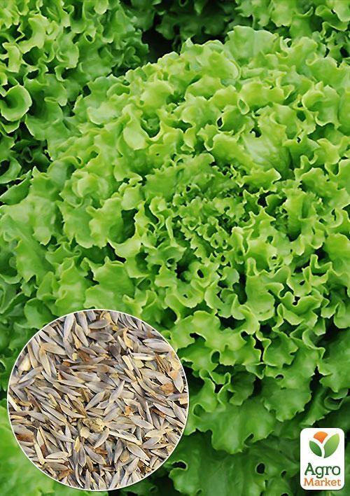 На развес Салат "Гранд рапидс" ТМ "Весна" цена за 7г