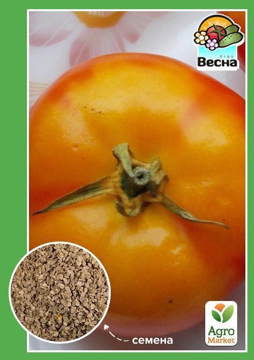 Томат "Загадка природы" ТМ "Весна" 0.1г