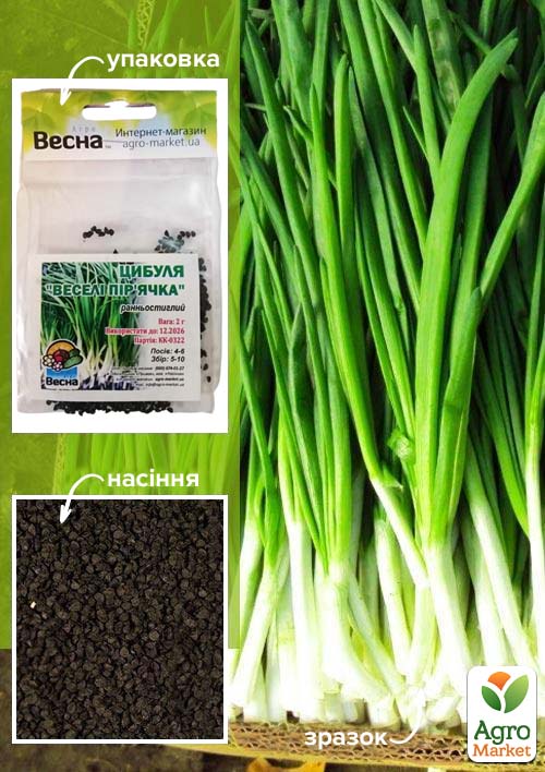 Цибуля на зелень "Веселі пір'ячка" (Зипер) ТМ "Весна" 2г