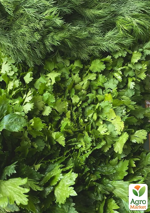 Комплект насіння зелень "Вітамінний коктейль" 10уп