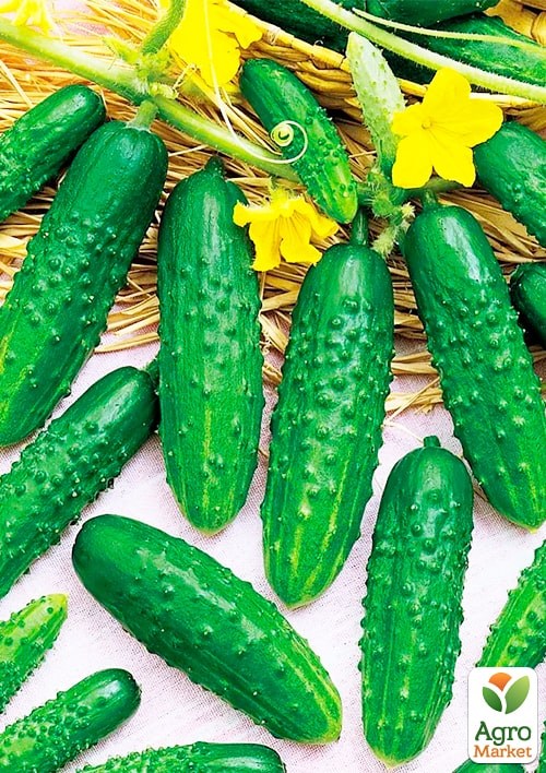 На развес Огурец "Заначка" ТМ "Весна" цена за 2г - фото 2