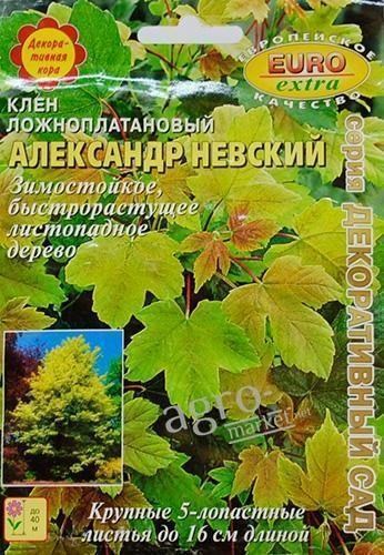 Клен ложноплатановый "Александр Невский" ТМ "Аэлита" 0.6г