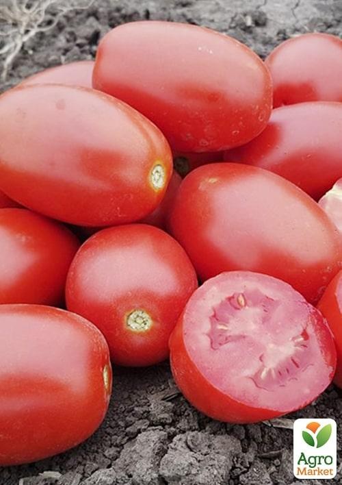 Томат детермінантний "9905 F1" ТМ "Lark Seeds" 100000шт